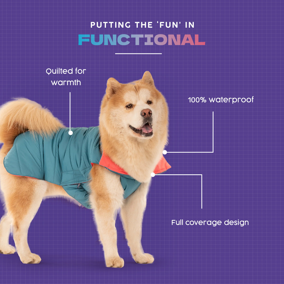 Dash Dog Puffer Dog Jacket - Aqua & Coral - Heads Up For Tails