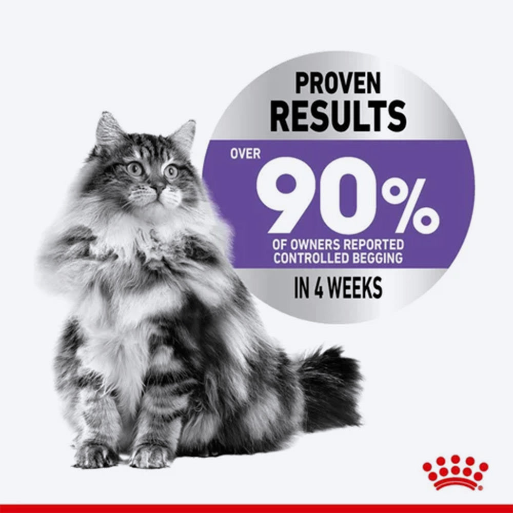 Royal Canin Appetite Control Dry Food For Adult Cat - 400 gm - Heads Up For Tails