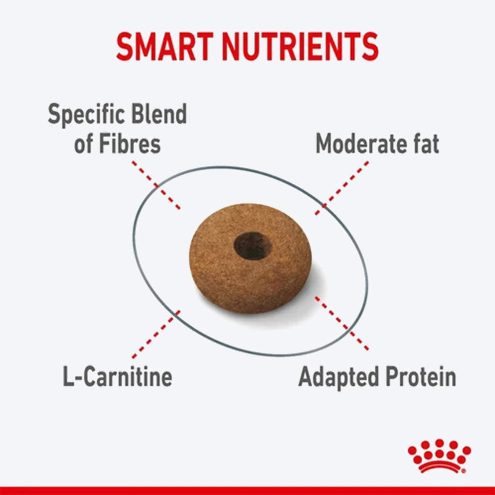 Royal Canin Appetite Control Dry Food For Adult Cat - 400 gm - Heads Up For Tails