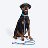 Dash Dog Chaser Rope Leash For Dog - Royal Blue