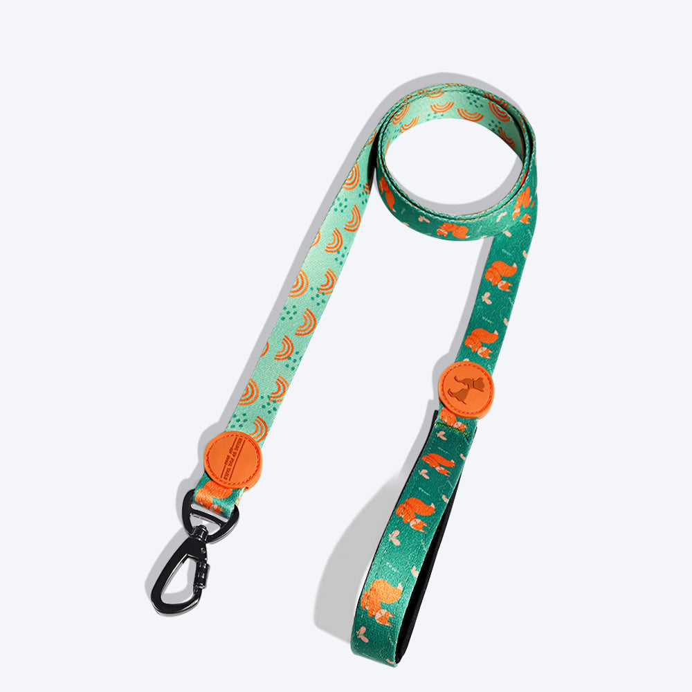 HUFT Garden Party Springtime Spirit Leash - 1.5 m - Heads Up For Tails