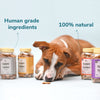 HUFT YIMT Apple and Cinnamon Vegetarian Dog Biscuits - Heads Up For Tails