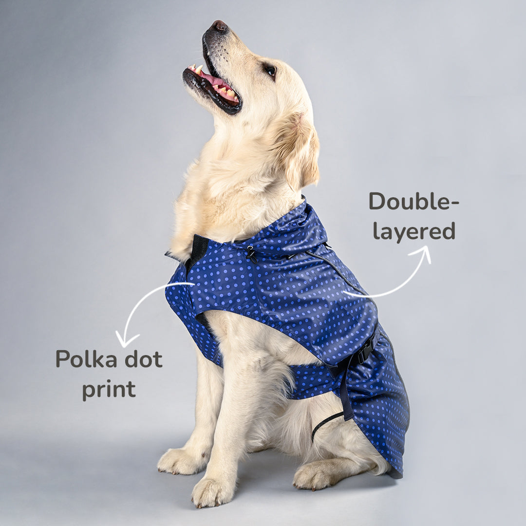 HUFT Polka Drops Dog Raincoat - Heads Up For Tails