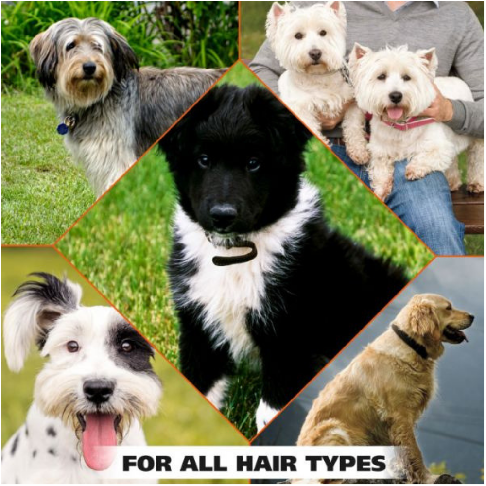 Wahl Doggie Deodorant Eucalyptus and Speamint 237 ml