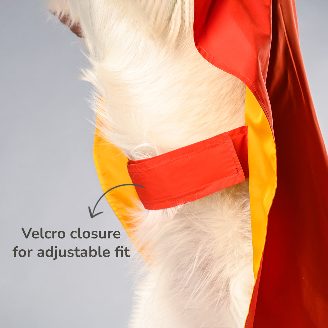 HUFT Raining Champ Dog Raincoat - Heads Up For Tails