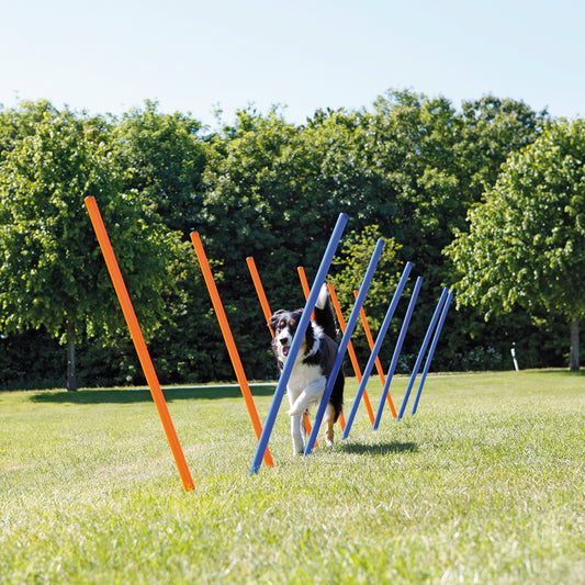 Trixie Dog Agility Slalom Weave Poles - Heads Up For Tails
