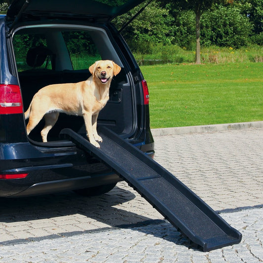 Trixie Petwalk Folding Ramp For Pets - Black - Heads Up For Tails