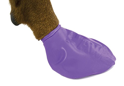 Protex Pawz Camo - Disposable Dog Boots - Heads Up For Tails