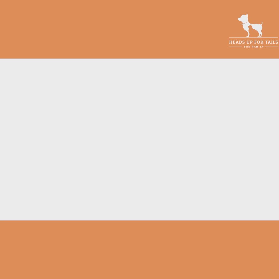 HUFT Super Omega! Dog Treat Combo - Pack of 2 X 2 -05