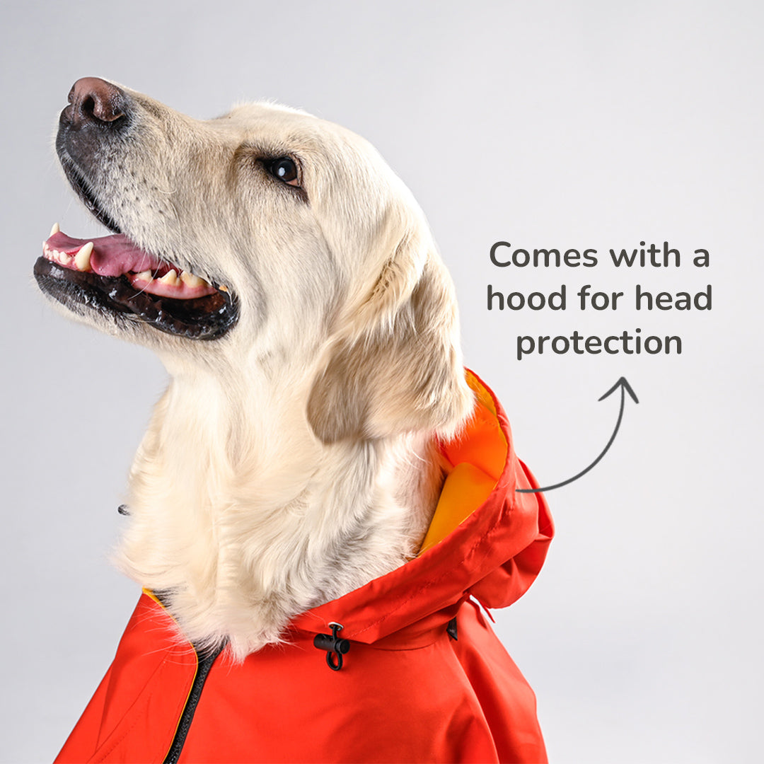 HUFT Raining Champ Dog Raincoat - Heads Up For Tails