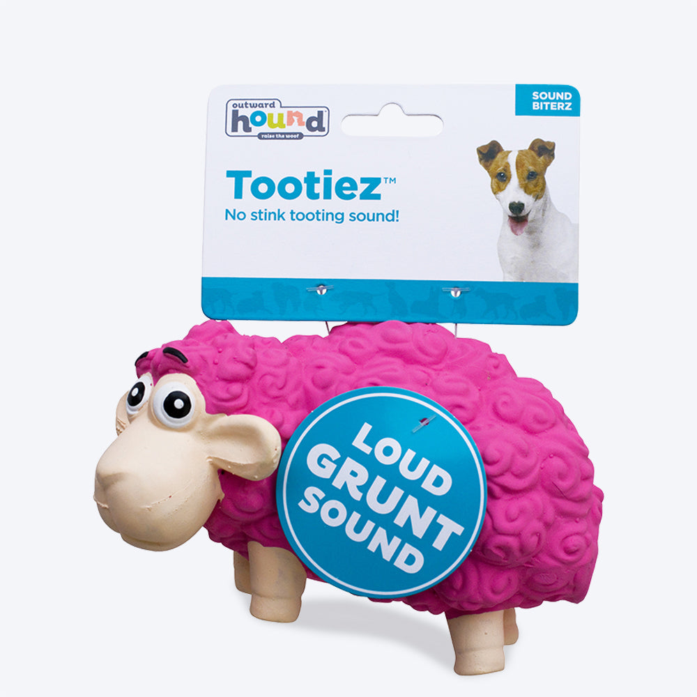 Outward Hound Tootiez Sheep Slide Latex Interactive Dog Toy - Pink - Heads Up For Tails