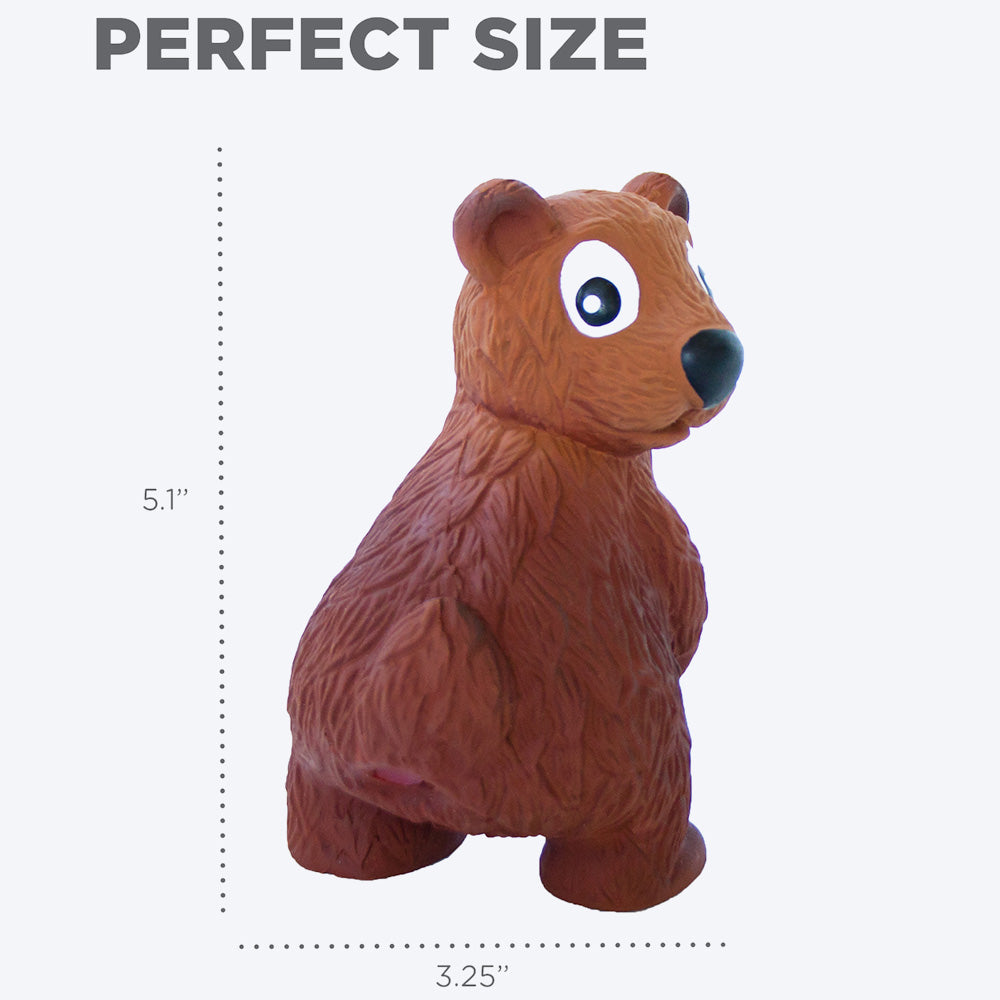 Outward Hound Tootiez Bear Slide Latex Interactive Dog Toy - Brown - Heads Up For Tails