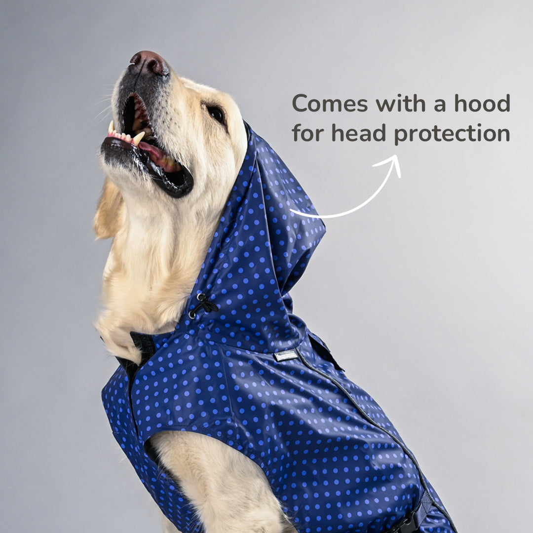 HUFT Polka Drops Dog Raincoat - Heads Up For Tails