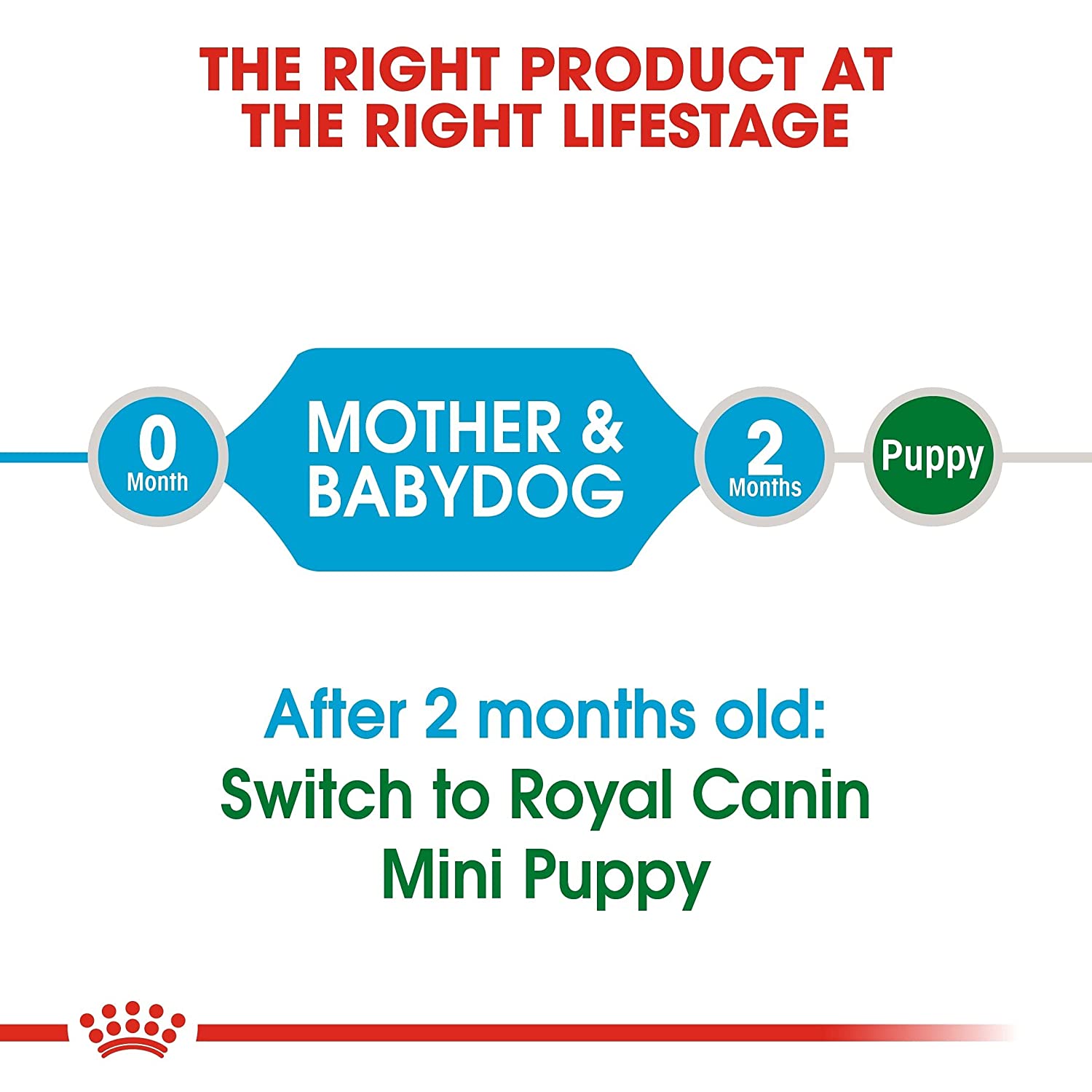 Royal Canin Mini Breed Starter Dry Puppy Food-6
