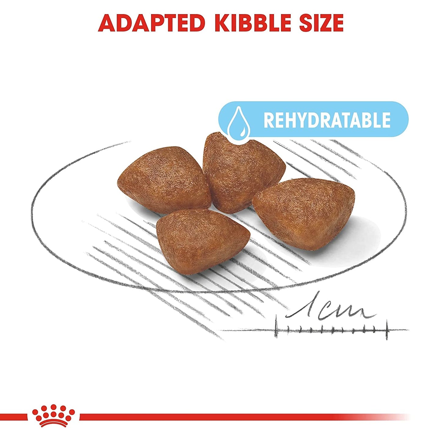 Royal Canin Mini Breed Starter Dry Puppy Food-3