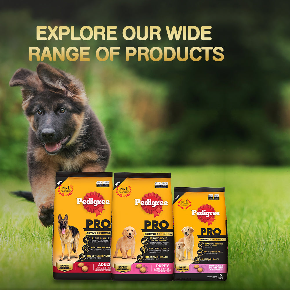 Pedigree PRO Expert Nutrition Senior (7+ Years) Adult Dog Dry Food-7