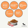 Farmina N&D Low Grain Mini Breed Adult Dry Dog Food - Chicken & Pomegranate-04