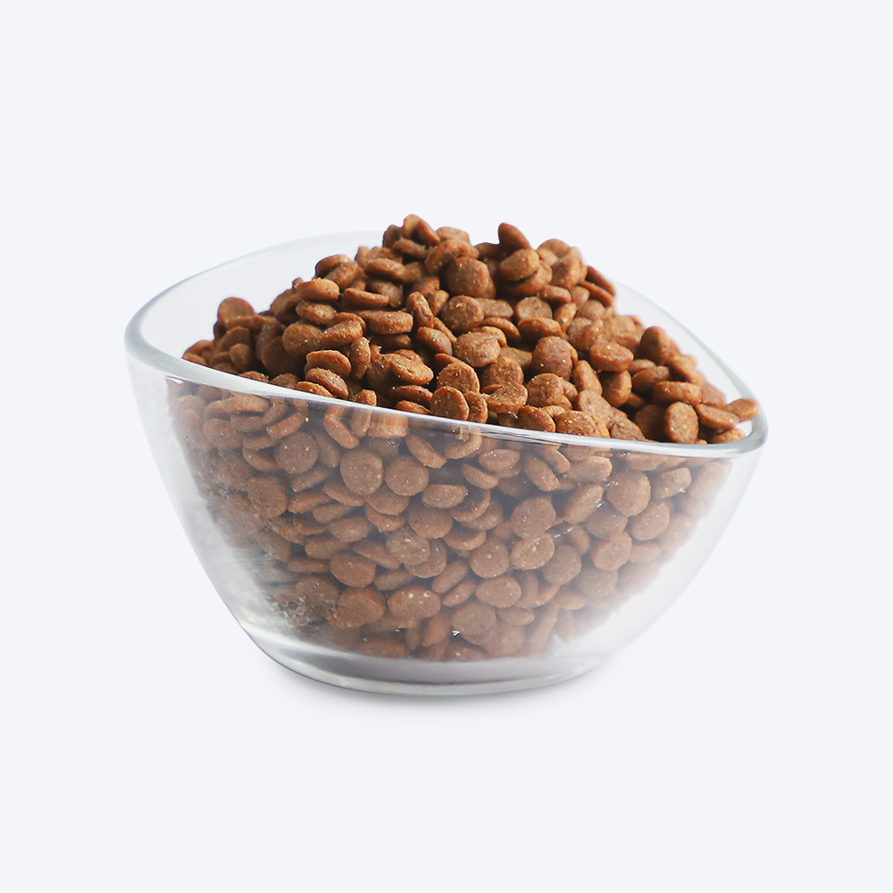 Kit Cat Ocean Fish Premium Adult Dry Cat Food - Heads Up For Tails