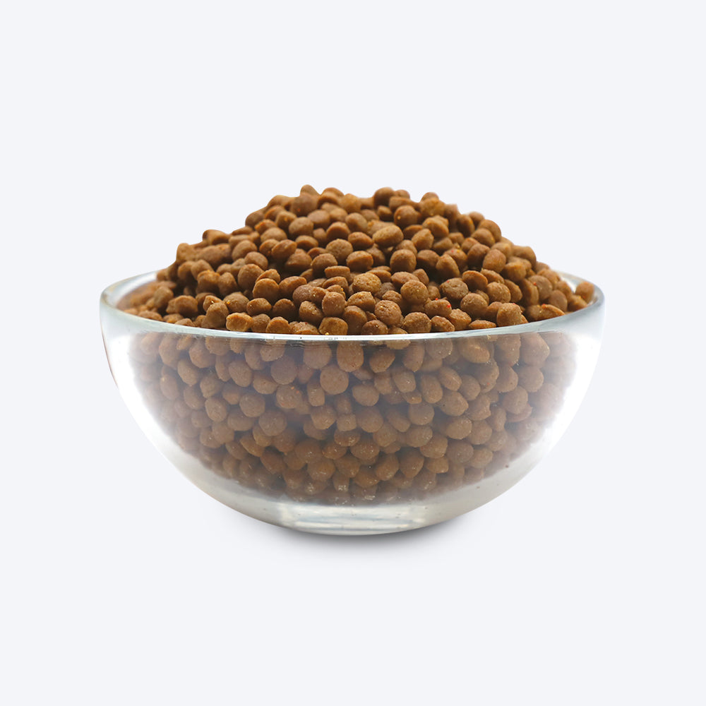 Kit Cat Chicken Premium Dry Kitten & Pregnant Cat Food - Heads Up For Tails