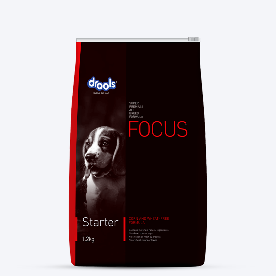 Drools Focus Starter Super Premium Dog Food - Heads Up For Tails