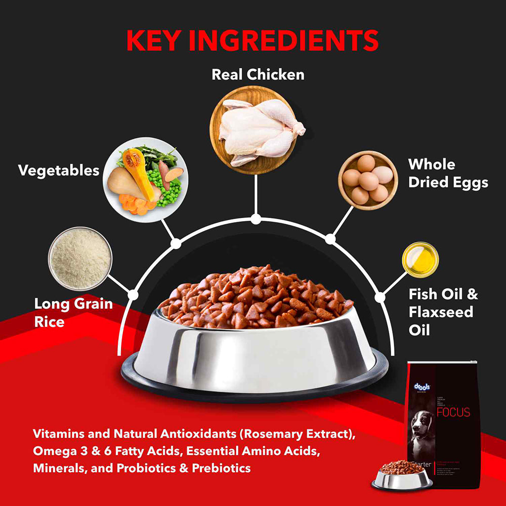 Drools Focus Starter Super Premium Dog Food - Heads Up For Tails