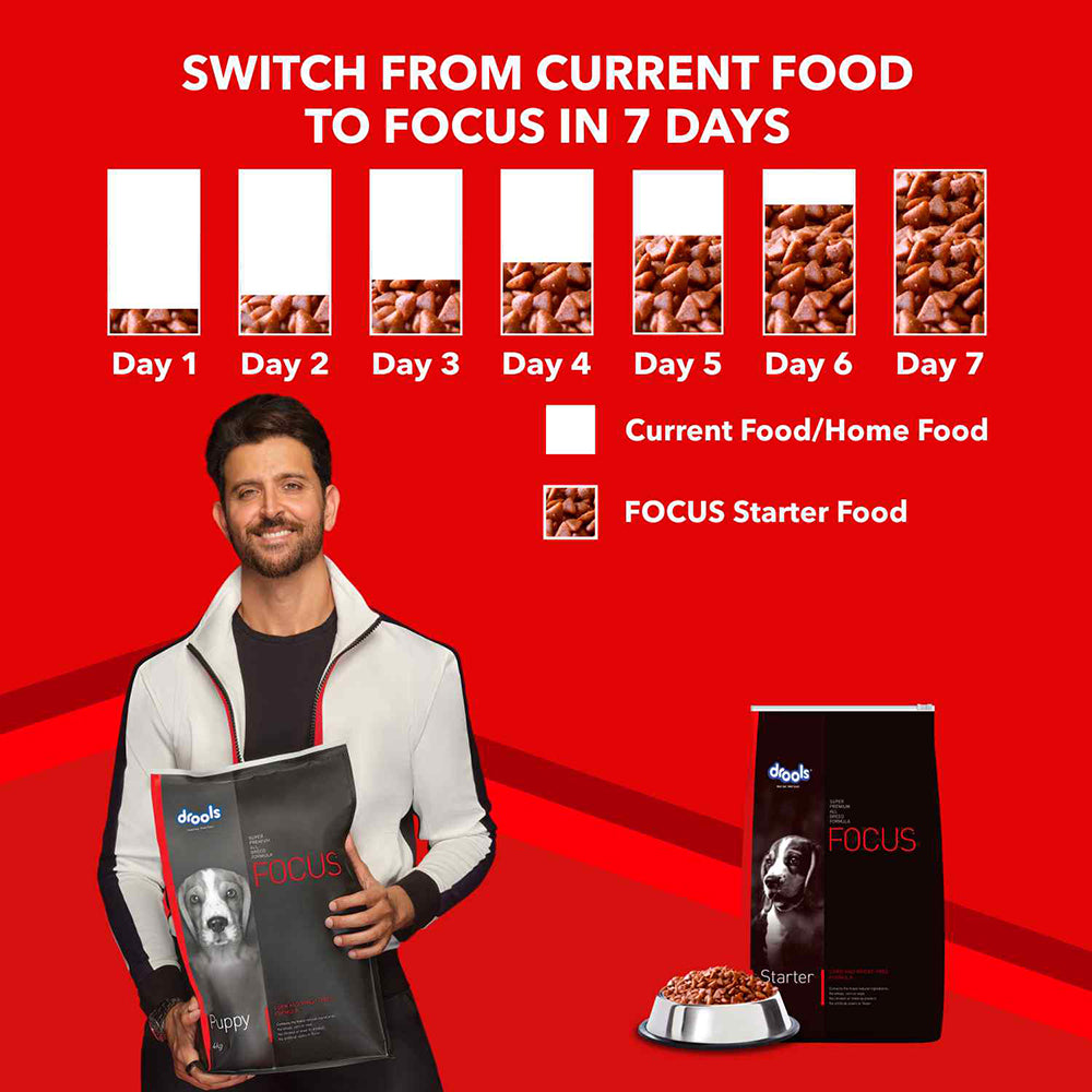 Drools Focus Starter Super Premium Dog Food - Heads Up For Tails