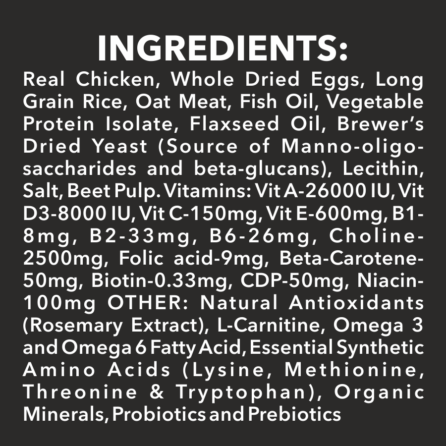 Drools Focus Starter Super Premium Dog Food - Heads Up For Tails