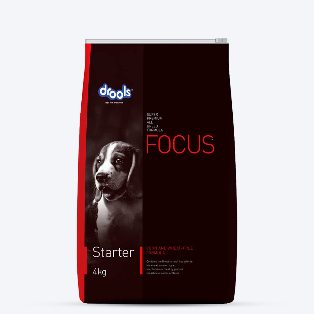 Drools Focus Starter Super Premium Dog Food - Heads Up For Tails