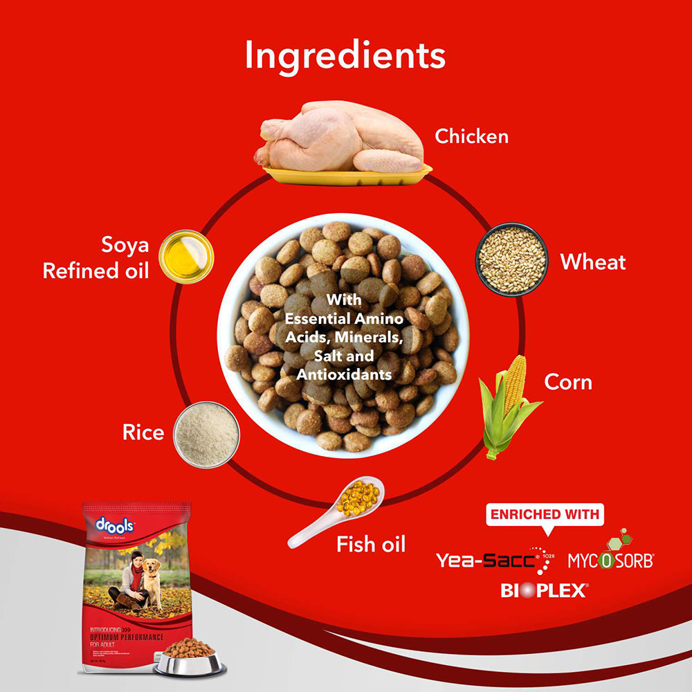 Drools Optimum Performance Adult Dry Dog Food - Heads Up For Tails