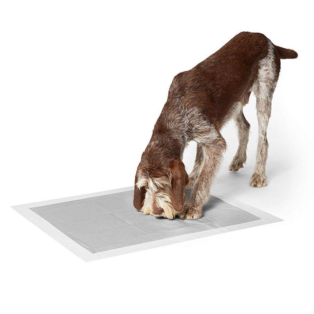 M-Pets Carbon Training Dog Pads Grey 30 pcs (45cm x 60cm)