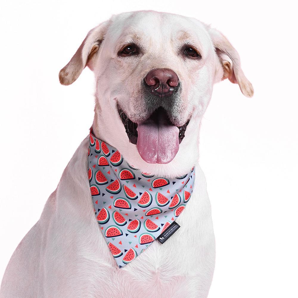 HUFT Summer Love Printed Reversible Dog Bandana3