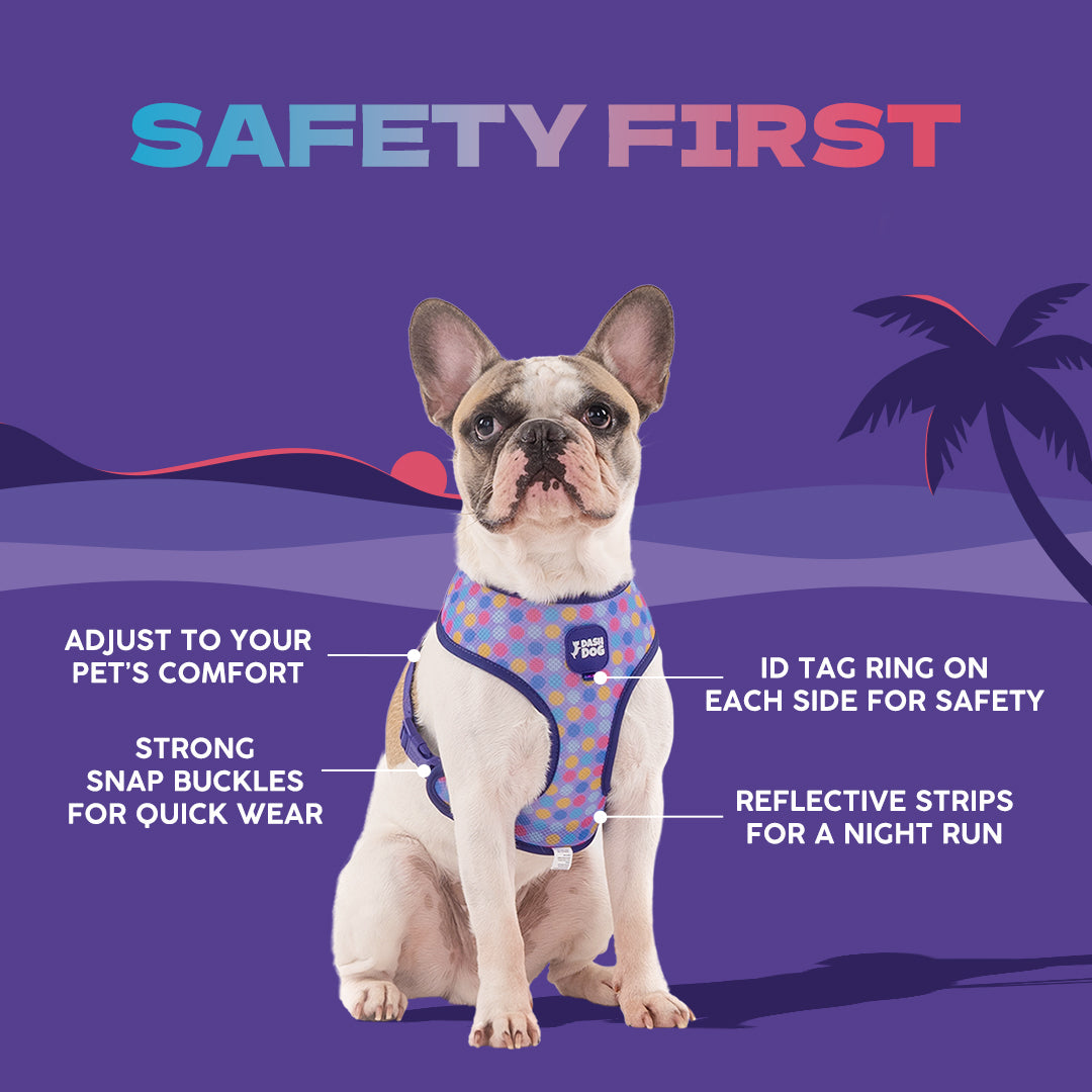 Dash Dog Circle Double Harness - Aqua Blue & Lavender - Heads Up For Tails
