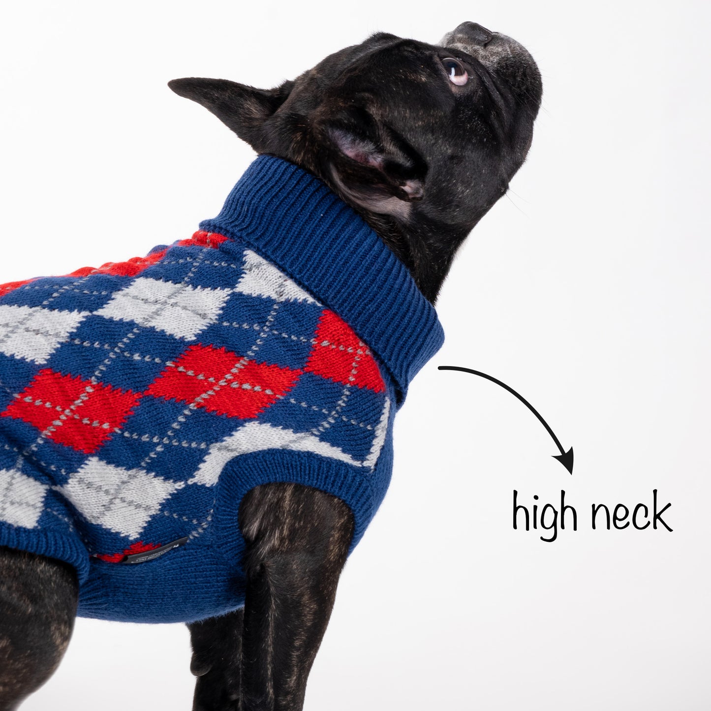 HUFT Argyle Pet Sweater - Red/Blue - Heads Up For Tails