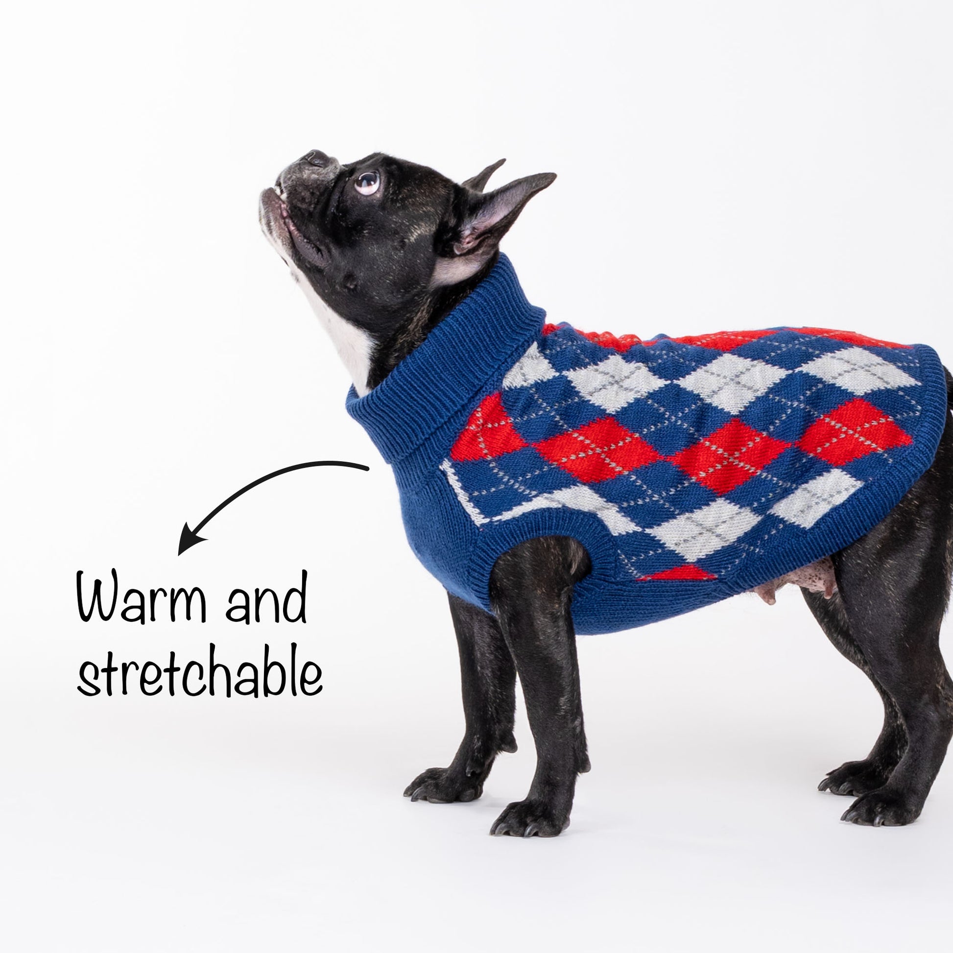 HUFT Argyle Pet Sweater - Red/Blue - Heads Up For Tails