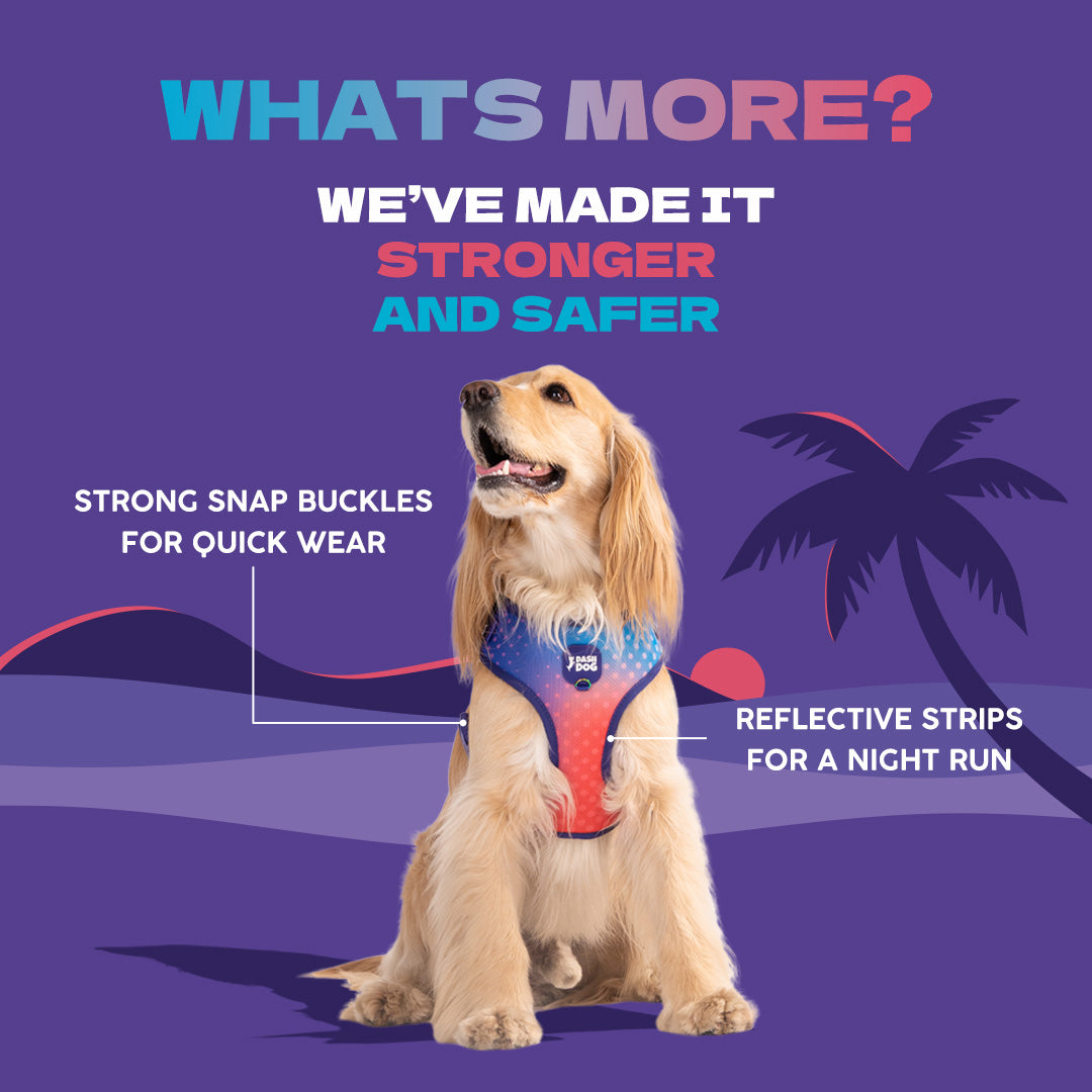 Dash Dog Flow Easy Walk Harness - Violet & Red - Heads Up For Tails