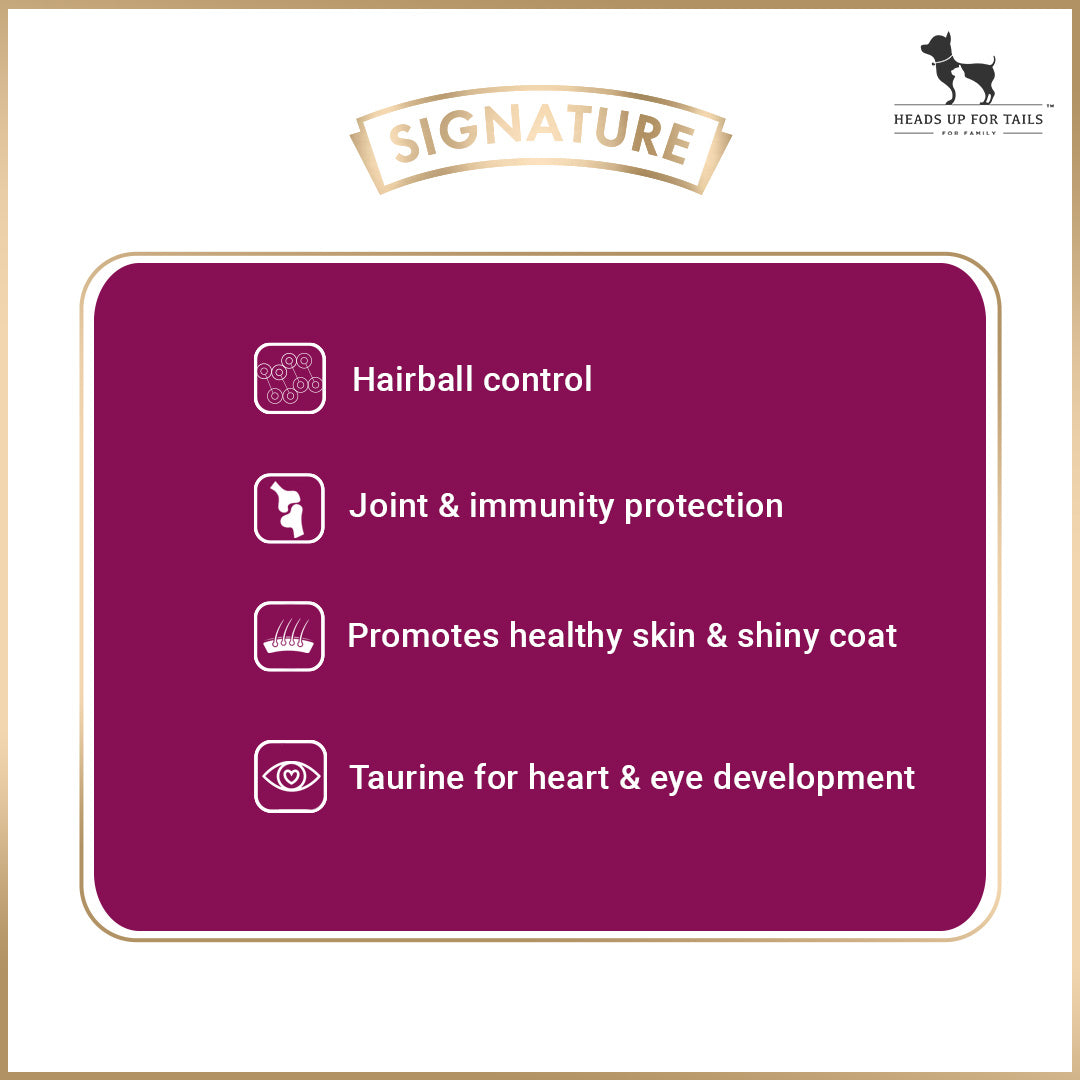 Signature Grain Zero Persian And Long Coat Dry Cat Food - 1.2kg - Heads Up For Tails