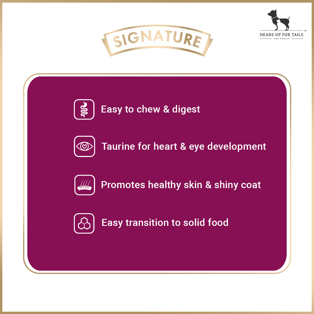 Signature Grain Zero Mother & Kitten Dry Cat Food - All Breed Formula - 1.2kg - Heads Up For Tails