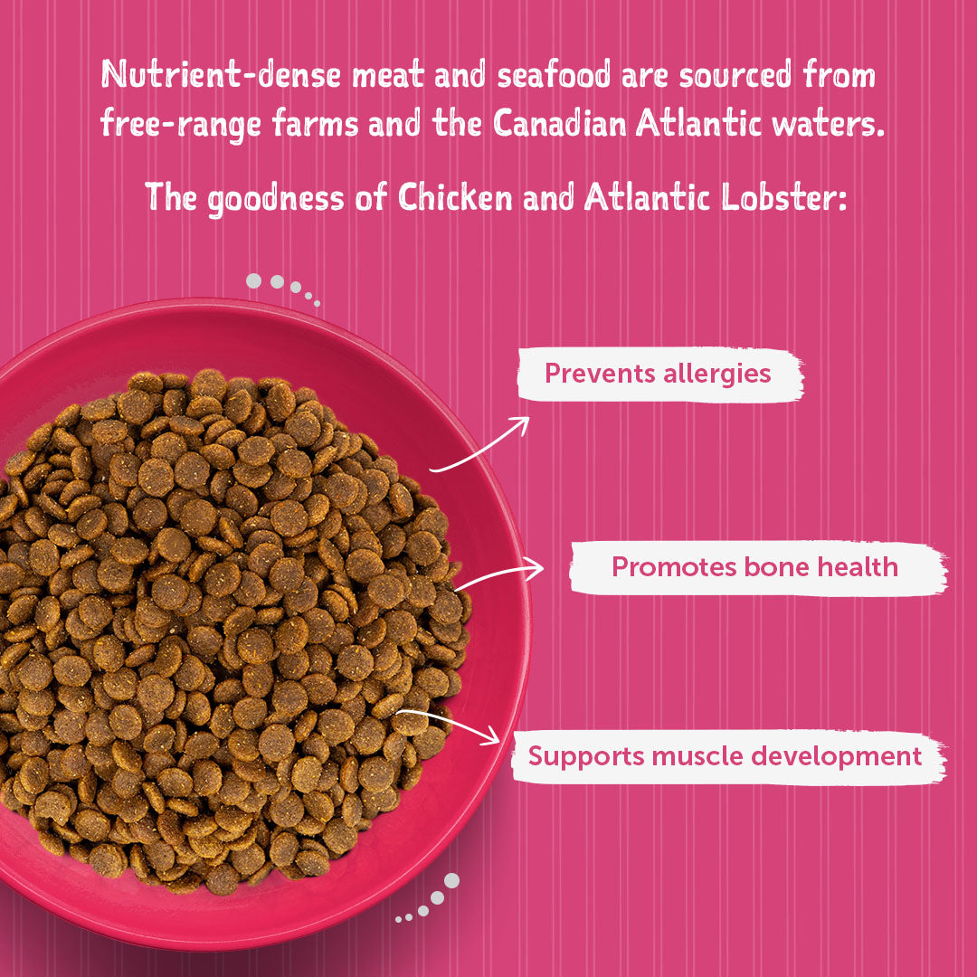 Loveabowl Grain Free Chicken With Atlantic Lobster Gut-Friendly Dog Dry Food - Heads Up For Tails