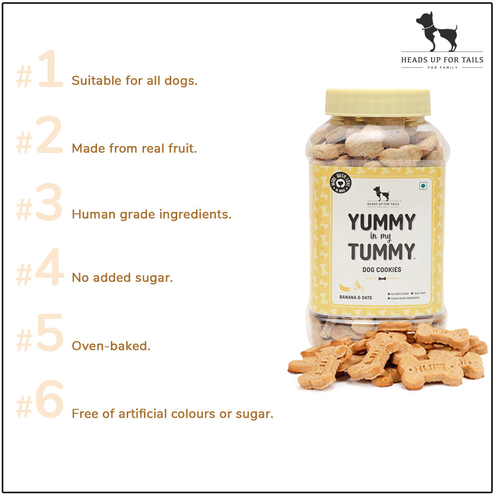 HUFT YIMT Dog Biscuits Combo - Banana & Oats and Pumpkin & Carrots - Pack of 2 - 320 g (Each)2