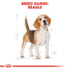Royal Canin Beagle Adult Dry Dog Food - Heads Up For Tails