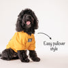 HUFT Best Dog Ever Pet Sweatshirt - Yellow - Heads Up For Tails
