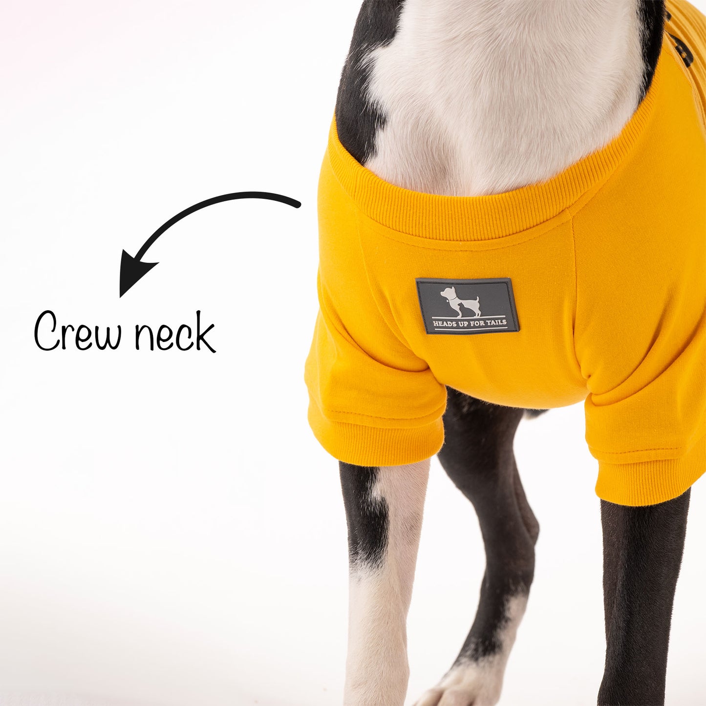 HUFT Best Dog Ever Pet Sweatshirt - Yellow - Heads Up For Tails
