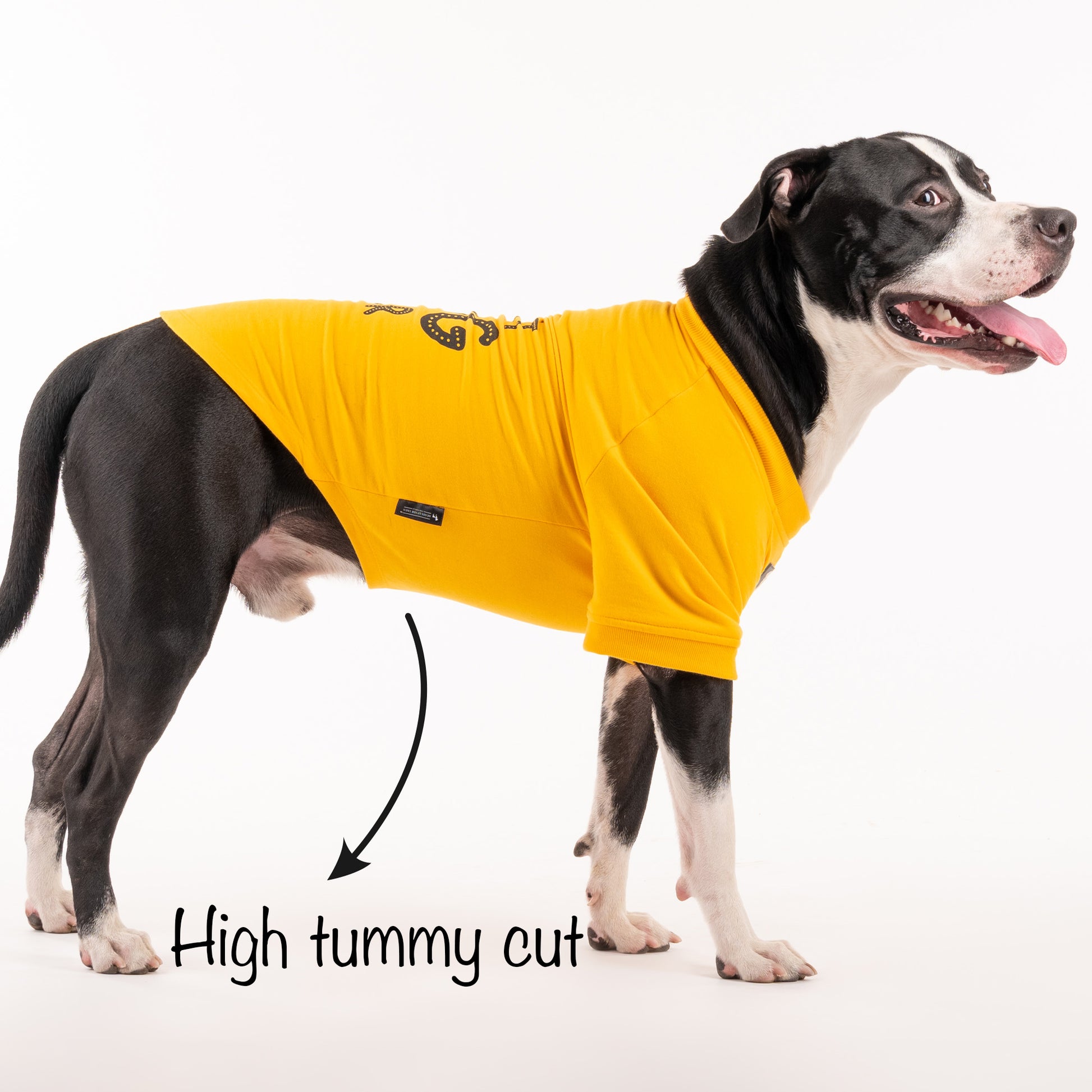 HUFT Best Dog Ever Pet Sweatshirt - Yellow - Heads Up For Tails
