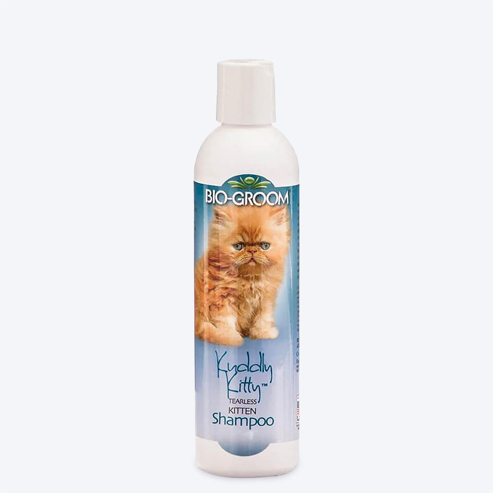 Bio groom 2024 cat shampoo