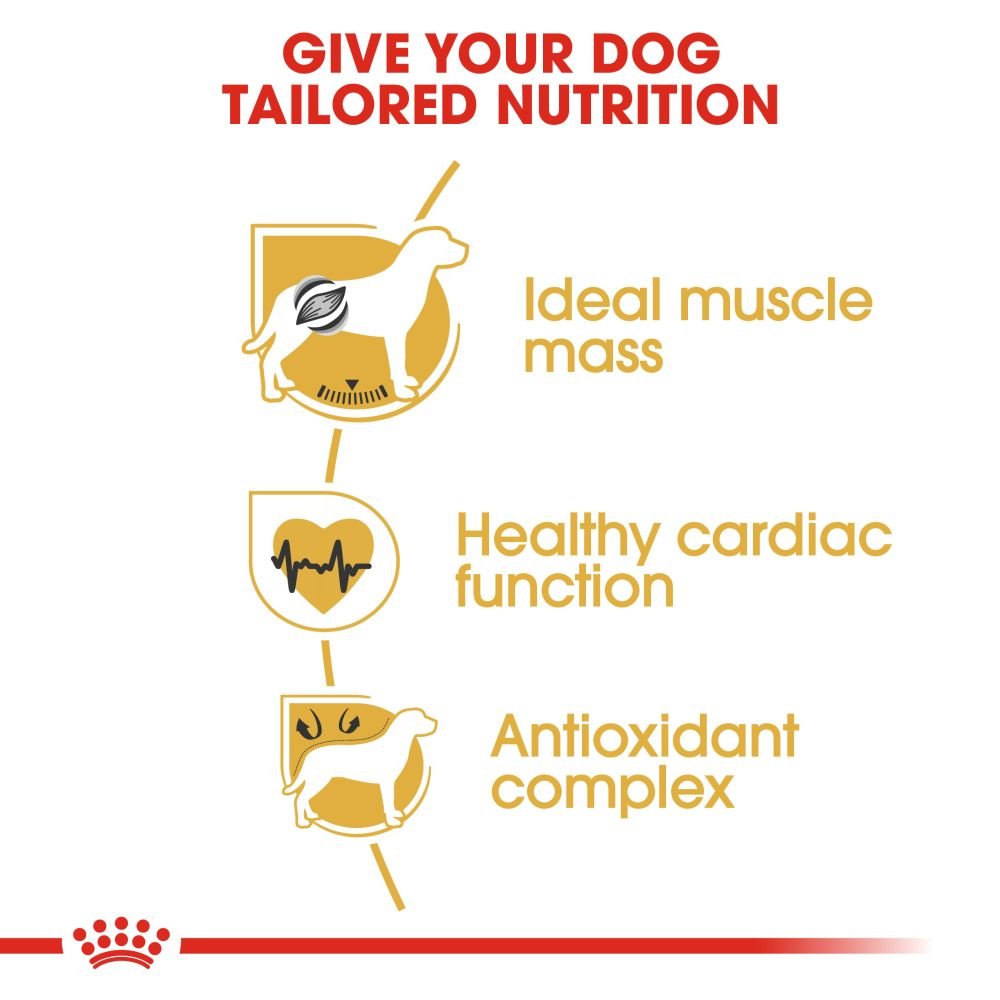 Royal Canin Boxer Adult Dog Food - Heads Up For Tails