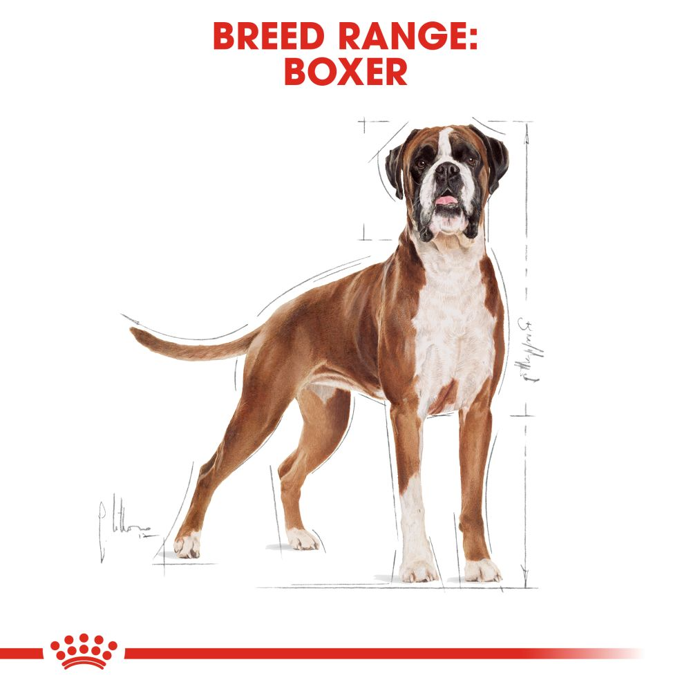 Royal Canin Boxer Adult Dog Food - Heads Up For Tails