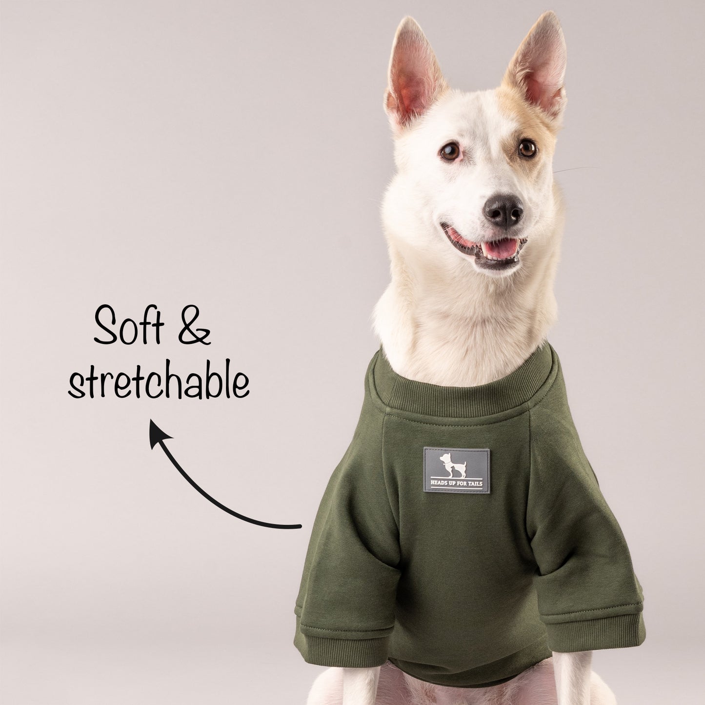 HUFT Chief Cuddle Officer Pet Sweatshirt - Green - Heads Up For Tails