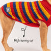 HUFT Classic Stripe Pet Sweater - Multicolour - Heads Up For Tails