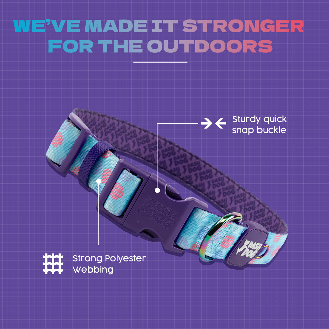 Dash Dog Circle Padded Collar - Aqua Blue - Heads Up For Tails