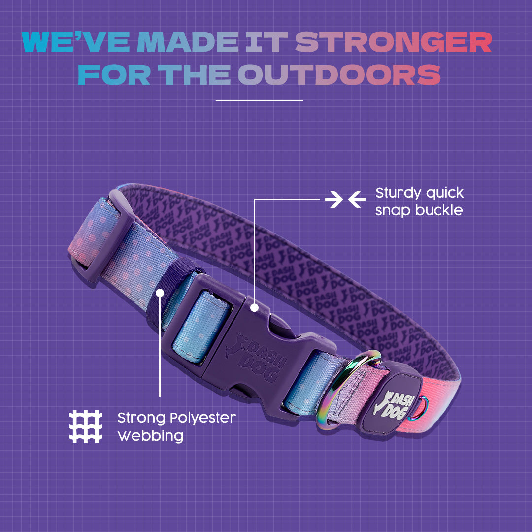 Dash Dog Flow Padded Collar - Pink And Aqua Blue - Heads Up For Tails